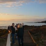 Cambria_0187 (November 04, 2017)